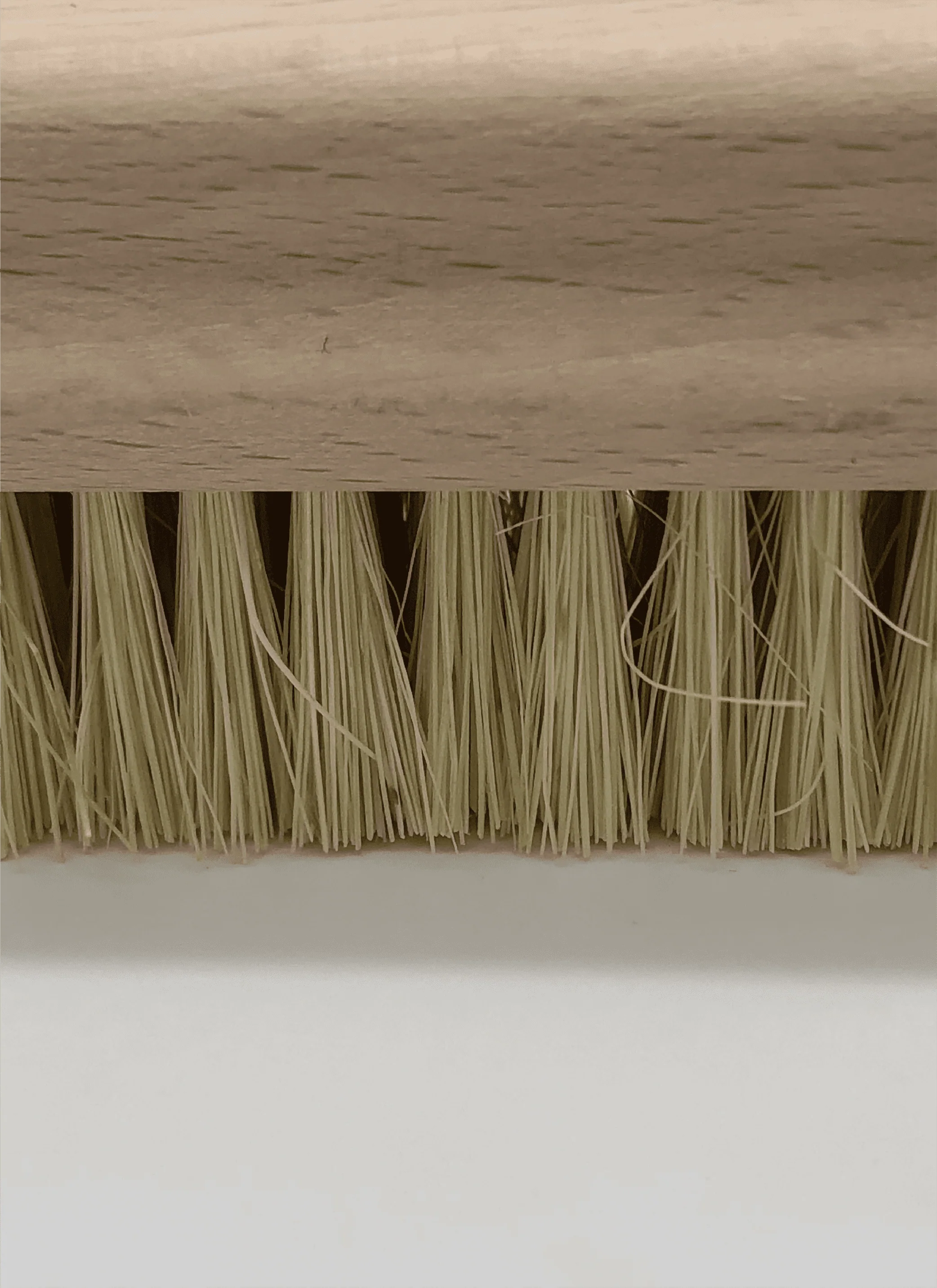 Tampico Leather Cleaning Brush - Image 3