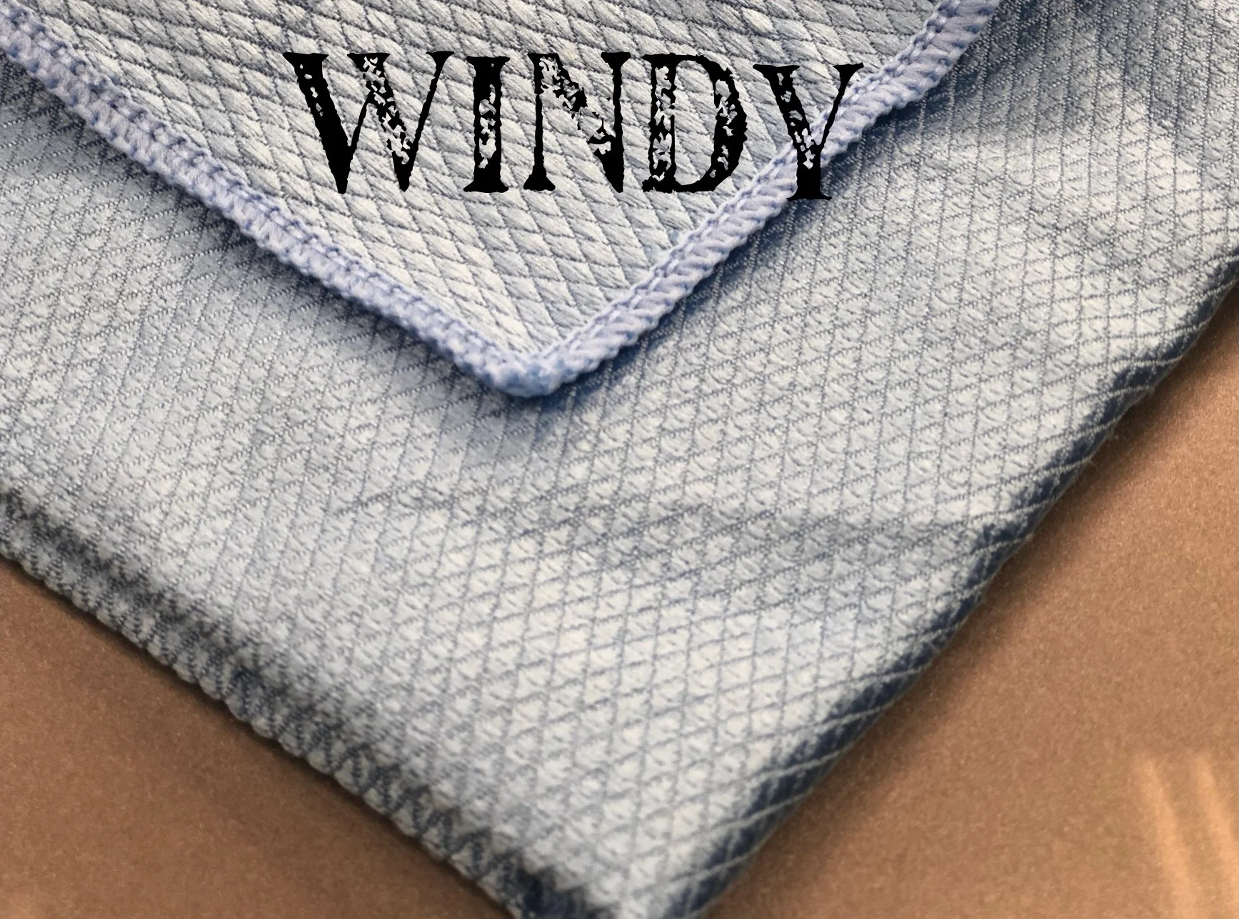 Windy the Window cleaning cloth (Distributor 63029300)